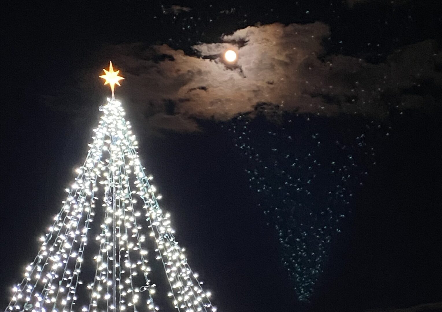 Photo of a tree made of light on the VCFA campus at night